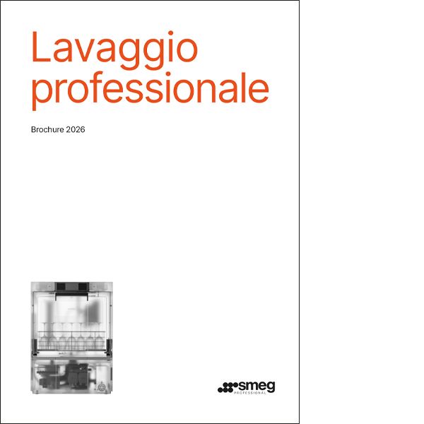 Lavastoviglie professionali