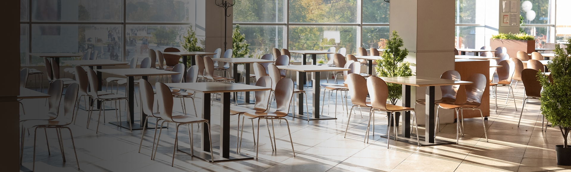 Professional appliances for canteens and catering