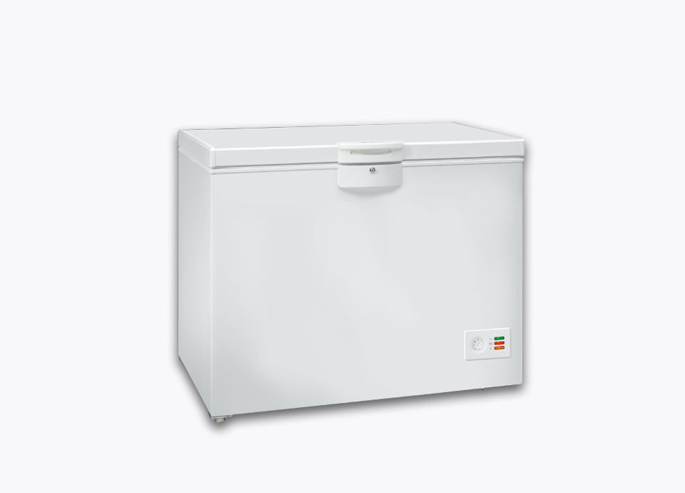 Chest Freezers Professional