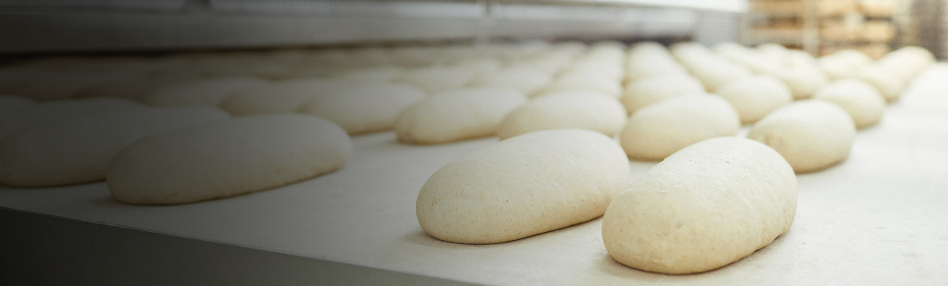 Professional household appliances for industry and frozen foods
