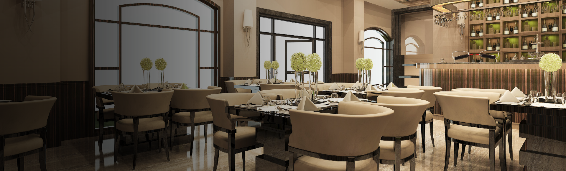 Professional appliances for restaurants