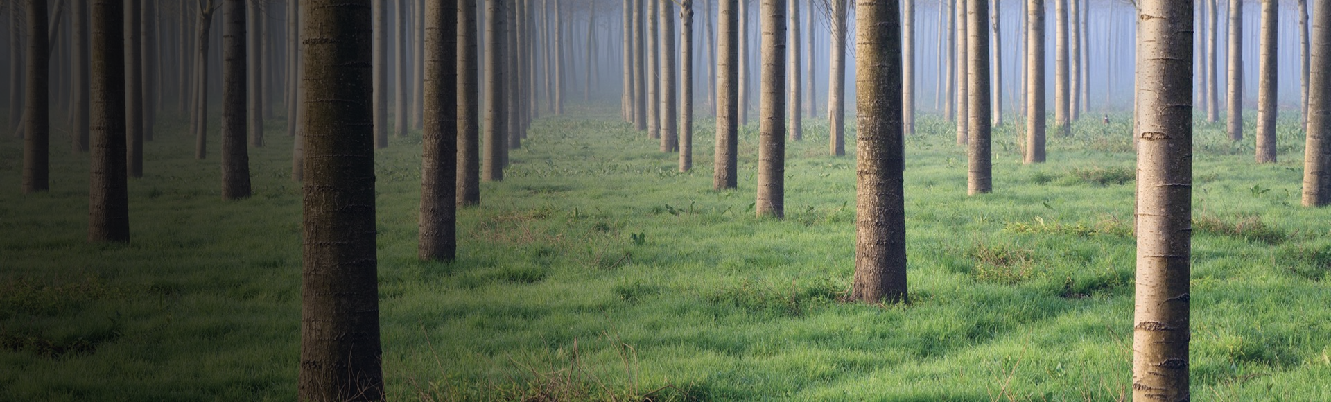 Environmental sustainability