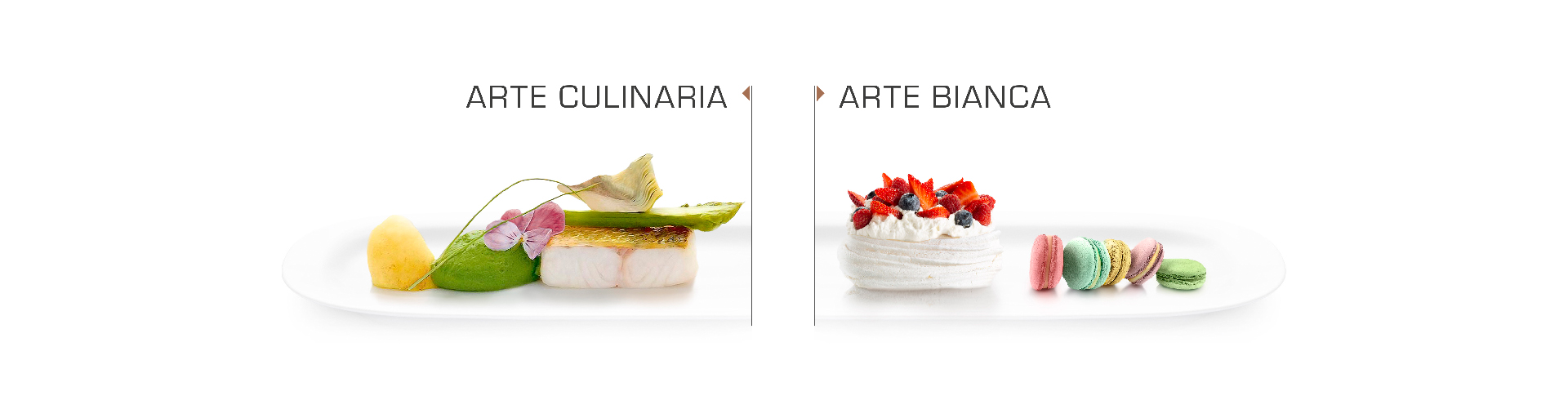 Arte Culinaria - Arte Bianca
