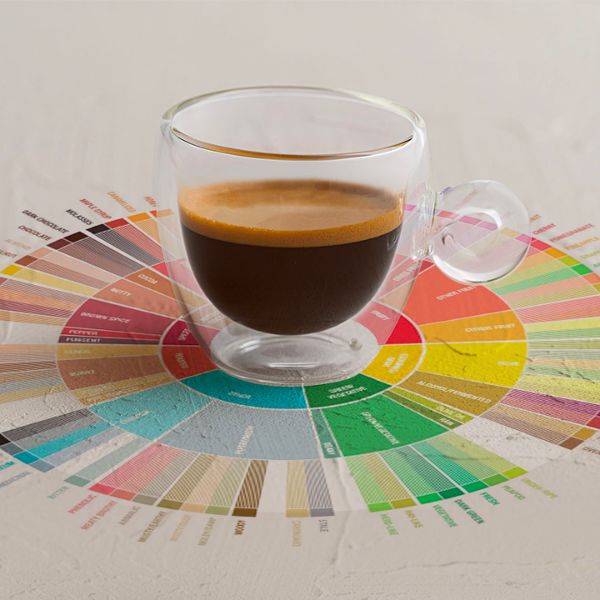 A classic shot of espresso served in a double wall mug laying flat on a coffee flavour wheel.