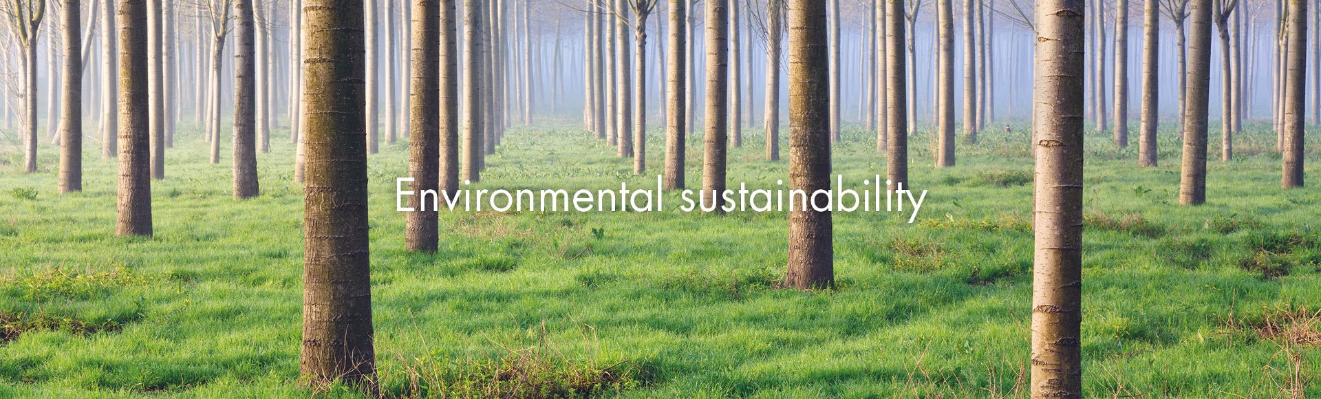 Environmental sustainability - Smeg
