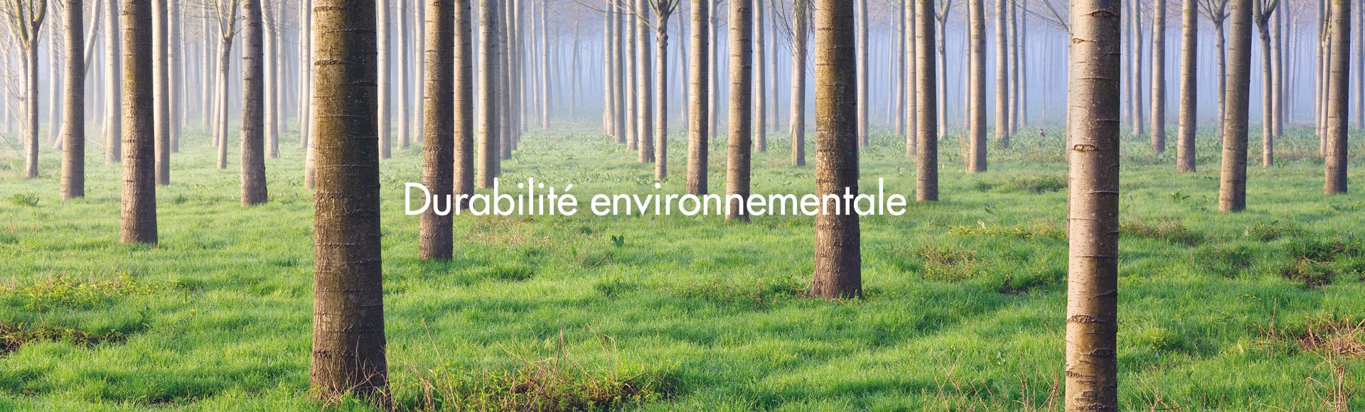 Durabilité environnementale - Smeg