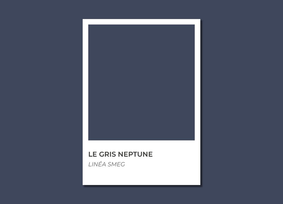 Le Gris Neptune