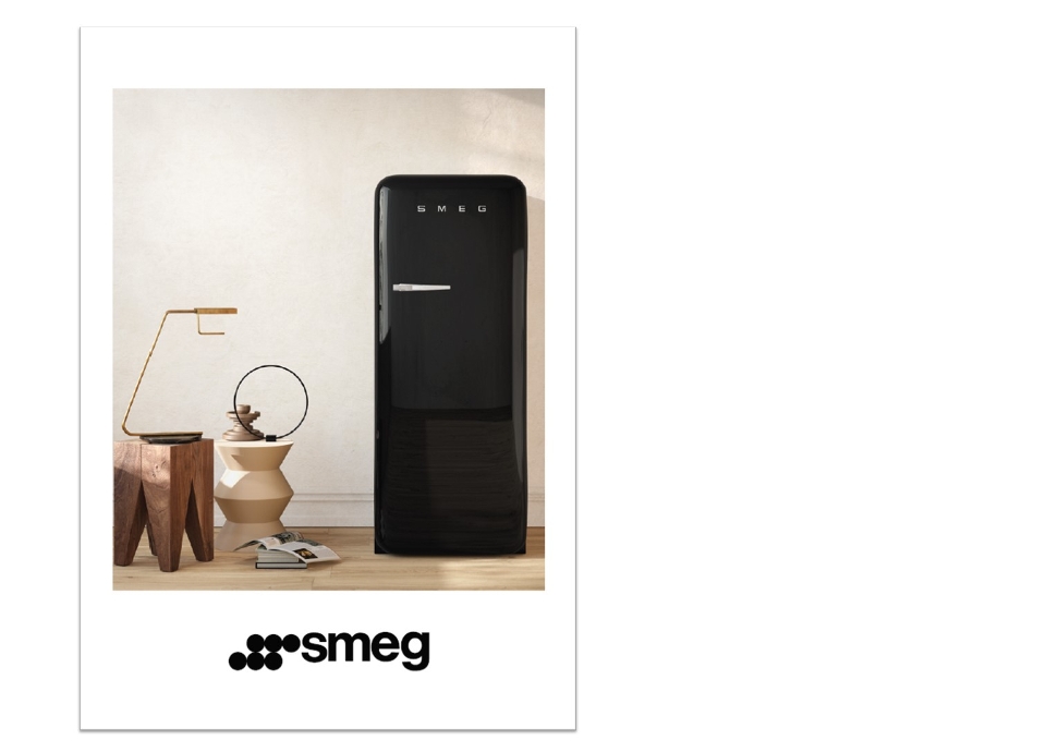 REVISTA SMEG