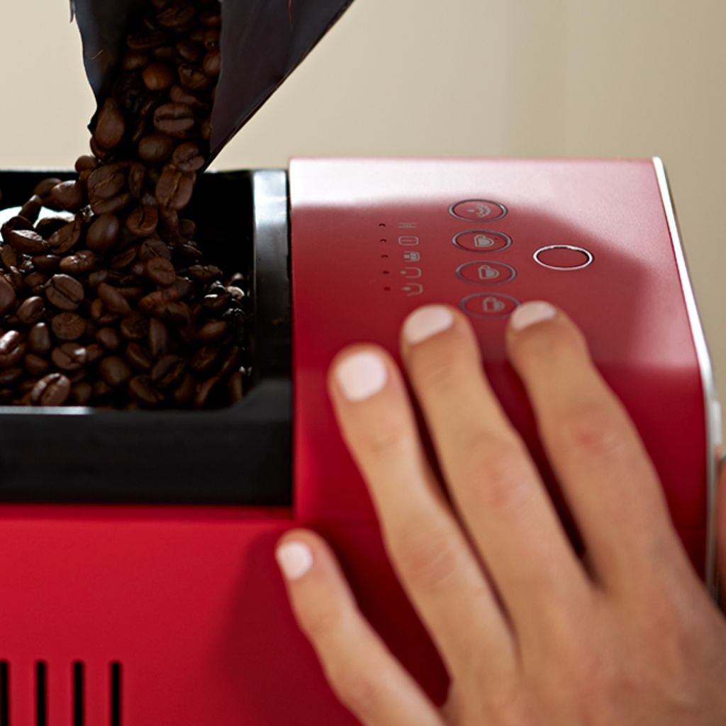 Die Kaffeebohne - von der Pflanze bis zu Röstung
