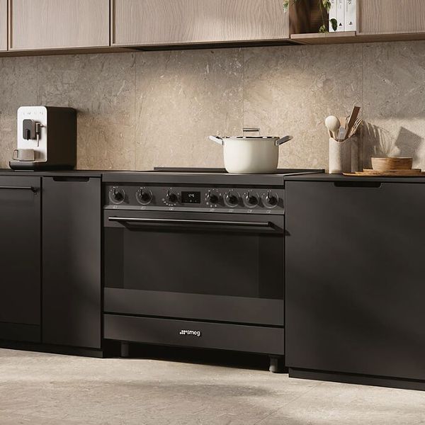 Classic stainless steel oven