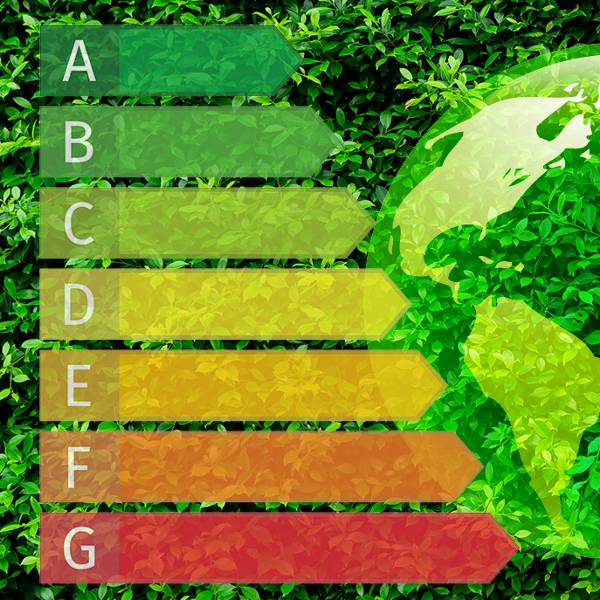 NEW ENERGY LABEL