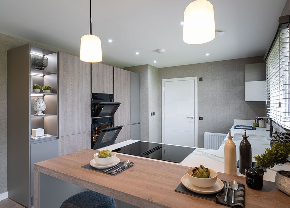 Modern new build kitchen with ovens and hob