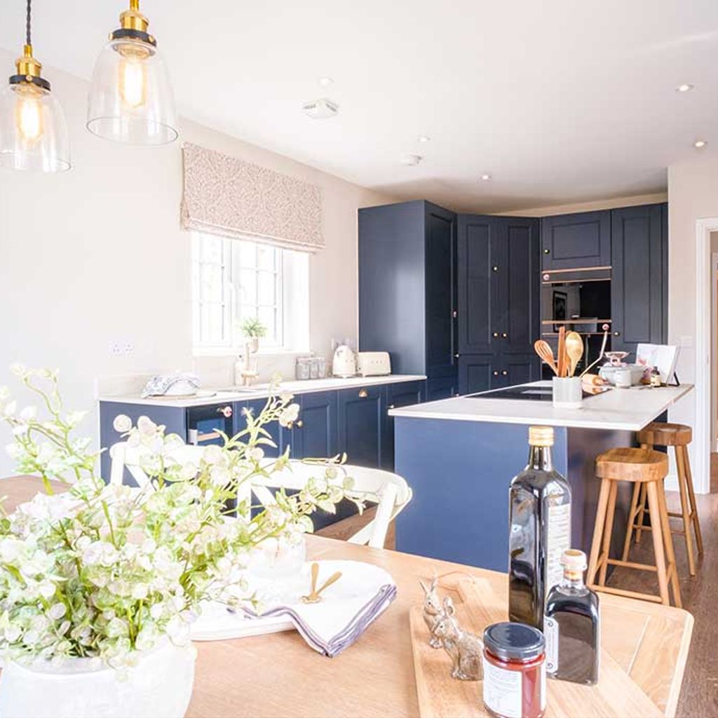 News Projects & Case Studies