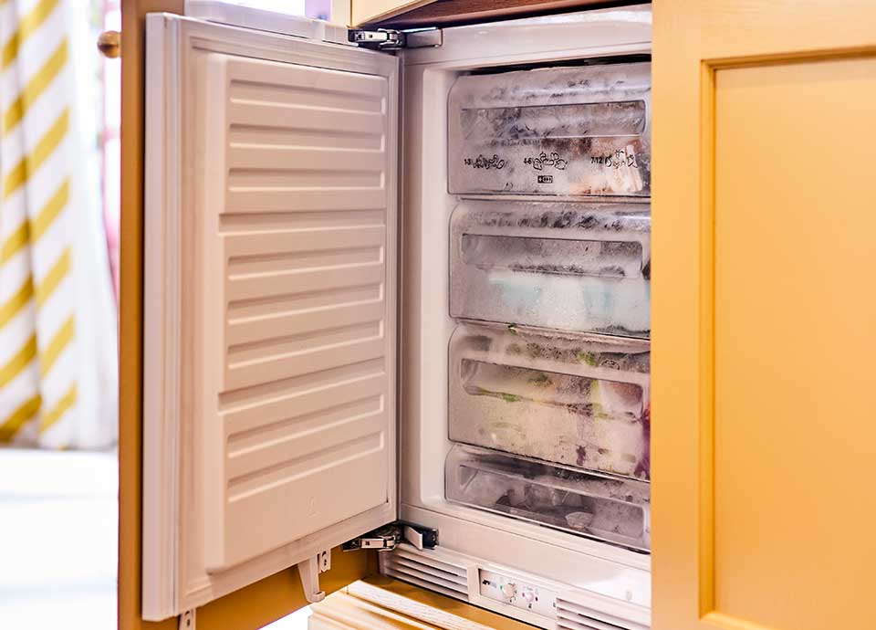 Seamless Integration: Refrigeration and Dishwashing