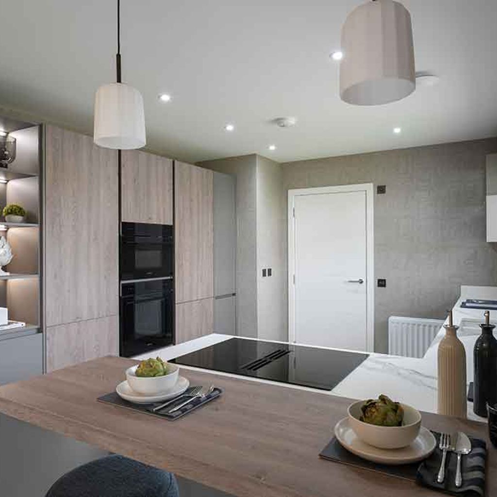 Modern new build kitchen with ovens and hob