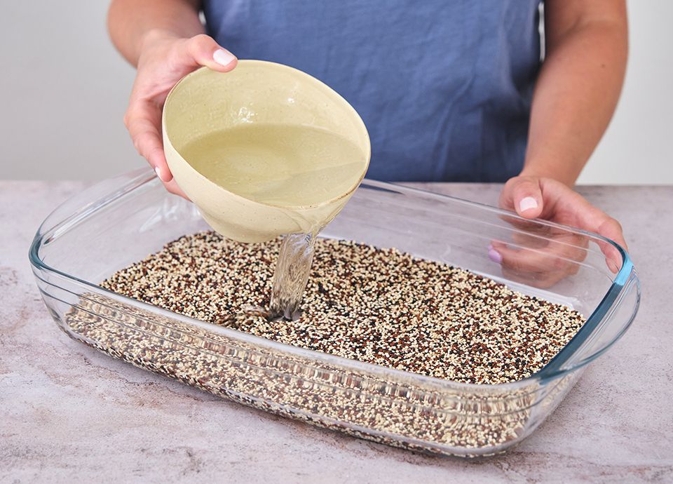 Step 1 - pour the quinoa into a glass bowl
