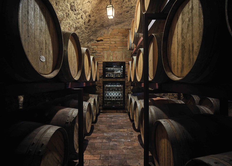 Wines stored with precision and care
