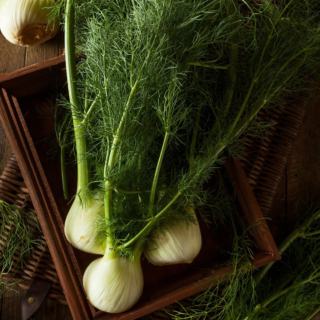 Baked fennels recipe | Smeg world cuisine